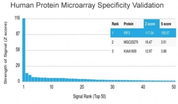 IRF3 Antibody