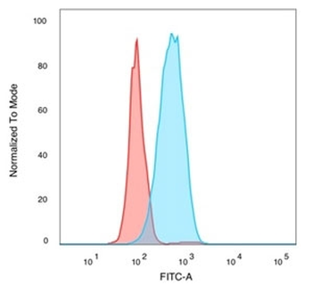 IRF3 Antibody