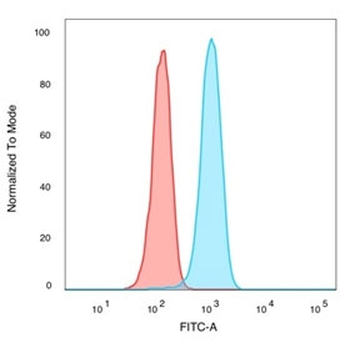 IRF3 Antibody