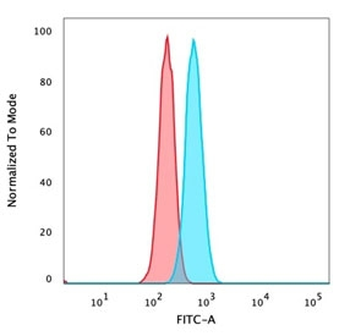 IRF3 Antibody