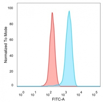 EIF2A Antibody / EIF2S1
