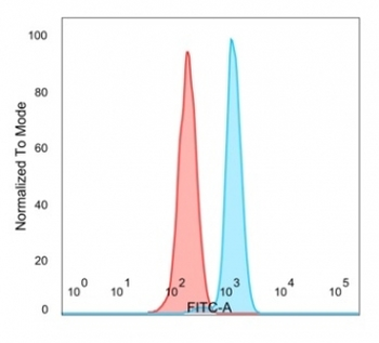 E4F1 Antibody