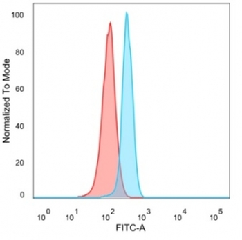 CTBP2 Antibody / C-terminal-binding protein 2