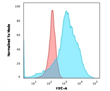LMO2 Antibody / Rhombotin 2