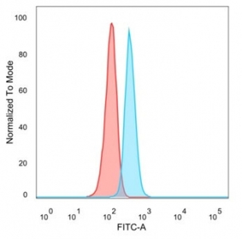 CBFB Antibody