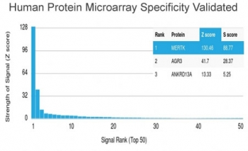 MerTK Antibody
