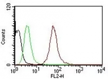 Pan Cytokeratin Antibody (PE Conjugate)