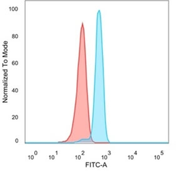 BOLA3 Antibody / BolA-like protein 3