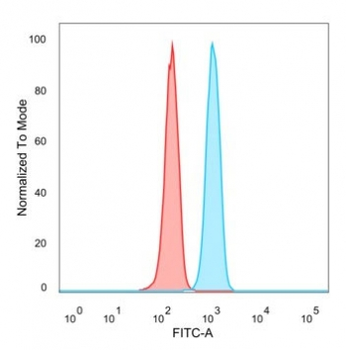 SNAPC4 Antibody