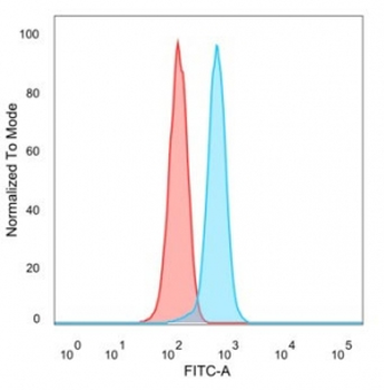 GTF2I Antibody / TFII-I