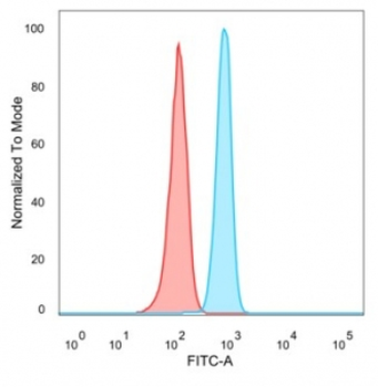 PRDM1 Antibody / BLIMP1