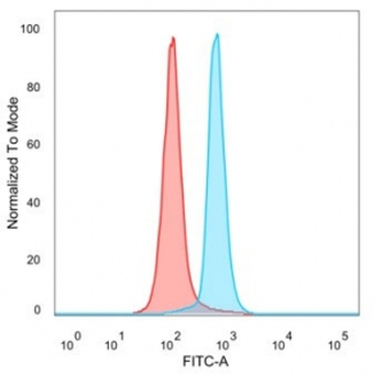 AP2 alpha Antibody / TFAP2A / Activator protein 2