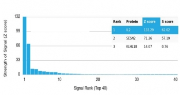 IL-2 Antibody