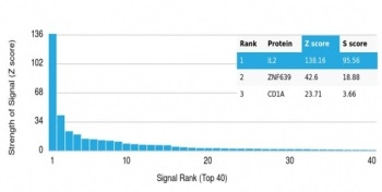 IL-2 Antibody