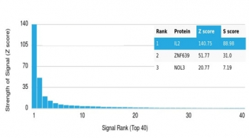 IL-2 Antibody