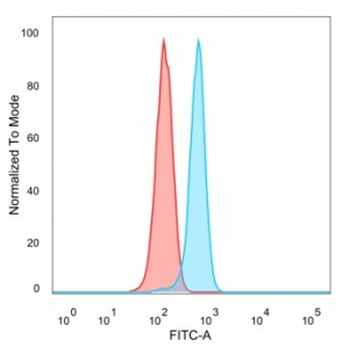 GCM2 Antibody / Glial cells missing homolog 2