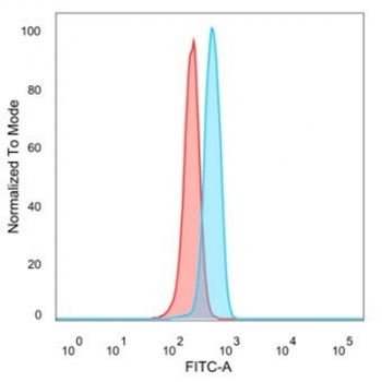 ZNF343 Antibody