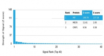 MIF Antibody / Macrophage migration inhibitory factor