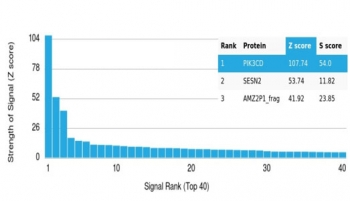 PI3KCD Antibody / PI3K delta / p110delta