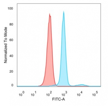 LSD1 Antibody / Lysine-Specific Demethylase 1