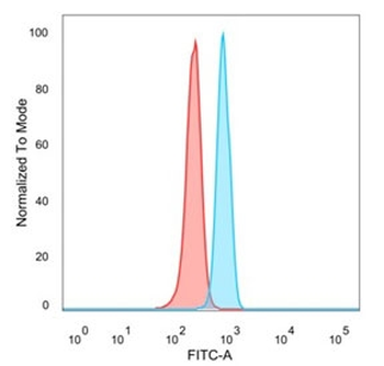 MZF1 Antibody / Myeloid zinc finger 1