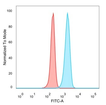 Interferon regulatory factor 3 Antibody / IRF3