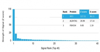 Interferon regulatory factor 3 Antibody / IRF3