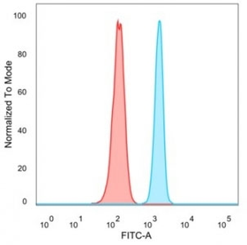 USF2 Antibody / Upstream stimulatory factor 2