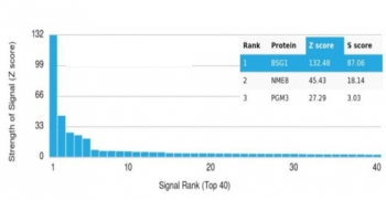 CD147 Antibody / BSG / Emmprin