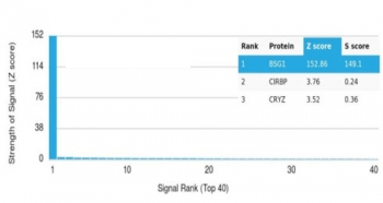 CD147 Antibody / BSG / Emmprin