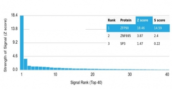 ZFP90 Antibody