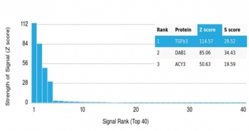 TGFB3 Antibody / TGF beta 3