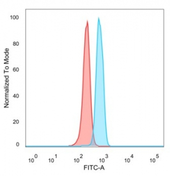 HDAC7 Antibody
