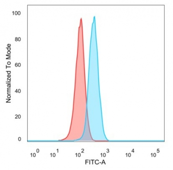 YBX3 Antibody / Y-box-binding protein 3