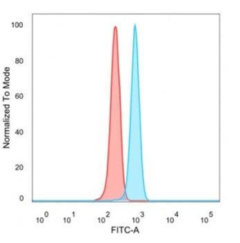 ZNF202 Antibody