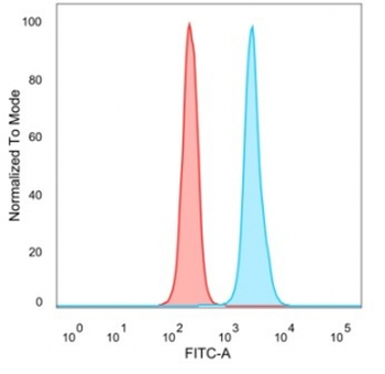 BATF2 Antibody