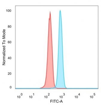 ZNF488 Antibody