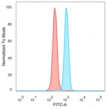 ZNF239 Antibody