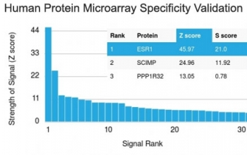 Estrogen Receptor alpha Antibody