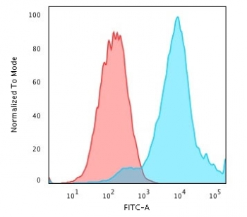 HSP27 Antibody / HSPB1
