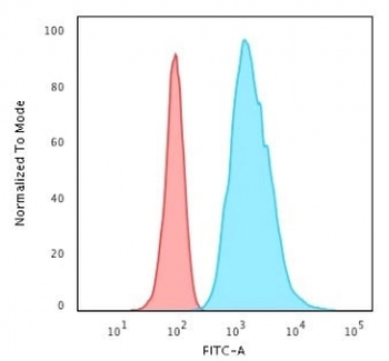 KRT8 Antibody / Cytokeratin 8