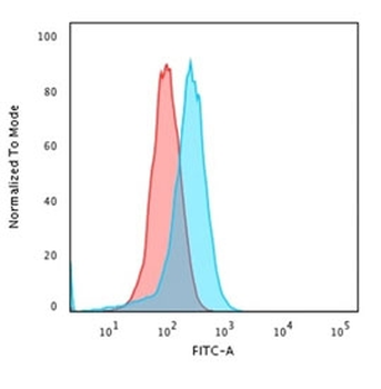 CD43 Antibody