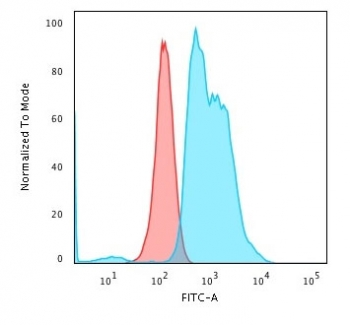 Nucleoli Marker Antibody