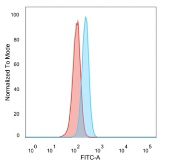 CBF beta Antibody / CBFB