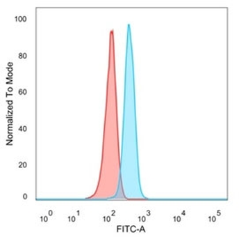 ZNF704 Antibody / Gig1