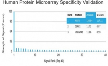 NGFR/TNFRSF16 Antibody / p75NTR / CD271