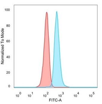 L-Myc Antibody / MYCL1