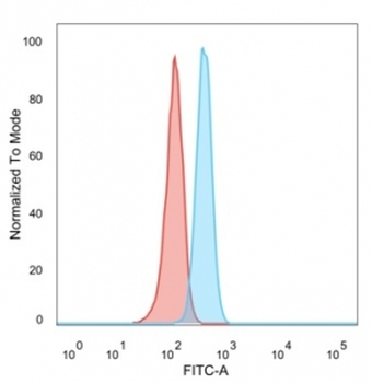 SOX4 Antibody
