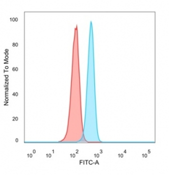 Myf-4 Antibody / MYOG / Myogenin