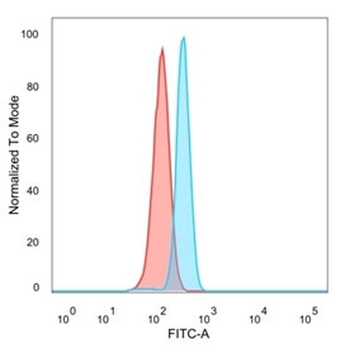 SIRT1 Antibody